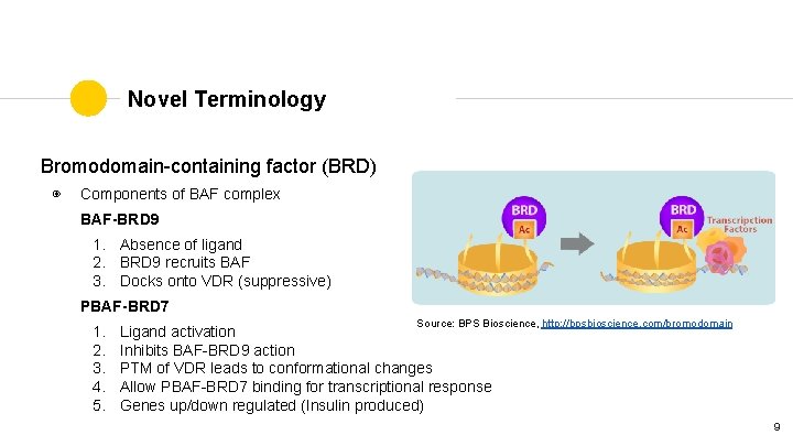 Novel Terminology Bromodomain-containing factor (BRD) ◉ Components of BAF complex BAF-BRD 9 1. Absence