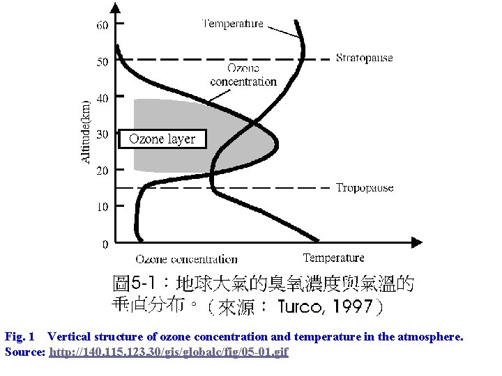 Fig. 1 Vertical structure of ozone concentration and temperature in the atmosphere. Source: http: