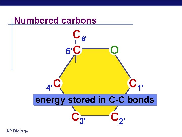 Numbered carbons C 6' 5' C O C 4' C 1' energy stored in