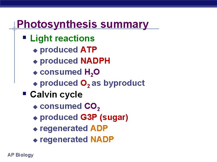 Photosynthesis summary § Light reactions produced ATP u produced NADPH u consumed H 2