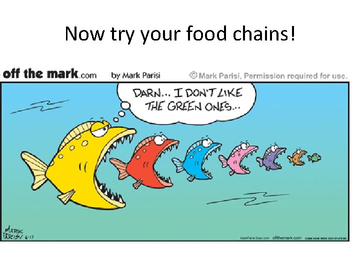 Now try your food chains! 