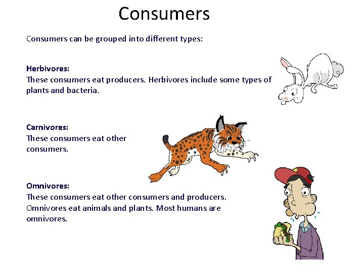 Consumers can be grouped into different types: Herbivores: These consumers eat producers. Herbivores include