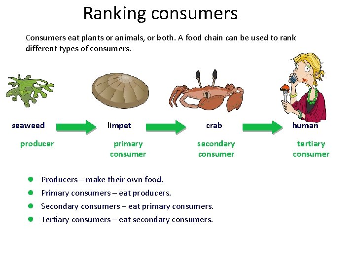 Ranking consumers Consumers eat plants or animals, or both. A food chain can be
