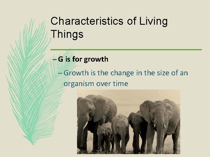 Characteristics of Living Things – G is for growth – Growth is the change