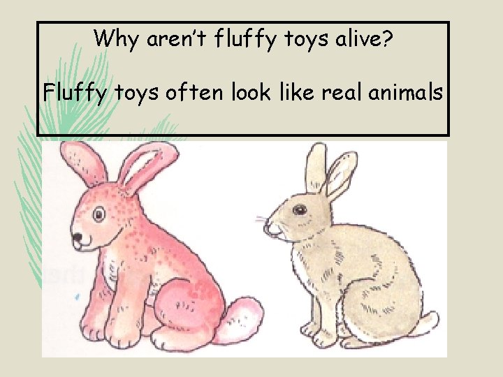 Why aren’t fluffy toys alive? Fluffy toys often look like real animals 