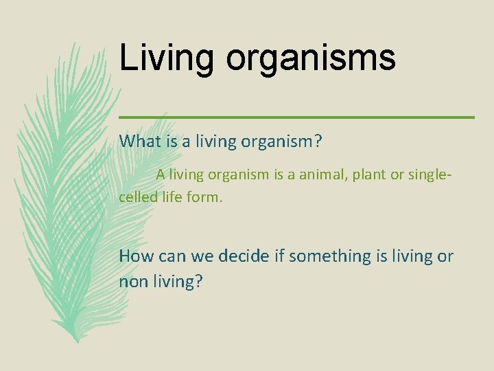 Living organisms What is a living organism? A living organism is a animal, plant