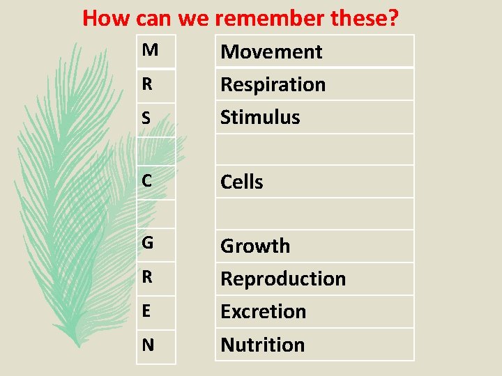 How can we remember these? S Movement Respiration Stimulus C Cells G Growth Reproduction