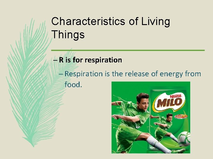 Characteristics of Living Things – R is for respiration – Respiration is the release