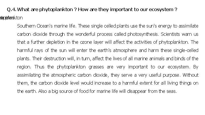 Q. 4. What are phytoplankton ? How are they important to our ecosystem ?