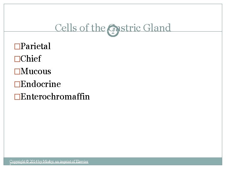 Cells of the Gastric Gland 5 �Parietal �Chief �Mucous �Endocrine �Enterochromaffin Copyright © 2014