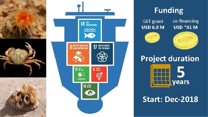 Funding GEF grant USD 6. 9 M co-financing USD ~41 M Project duration 5