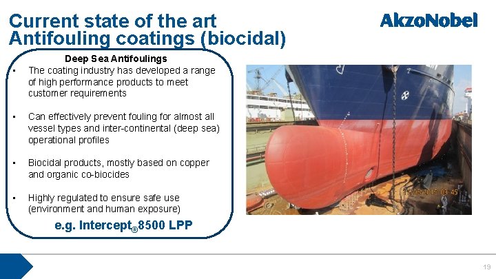 Current state of the art Antifouling coatings (biocidal) • Deep Sea Antifoulings The coating