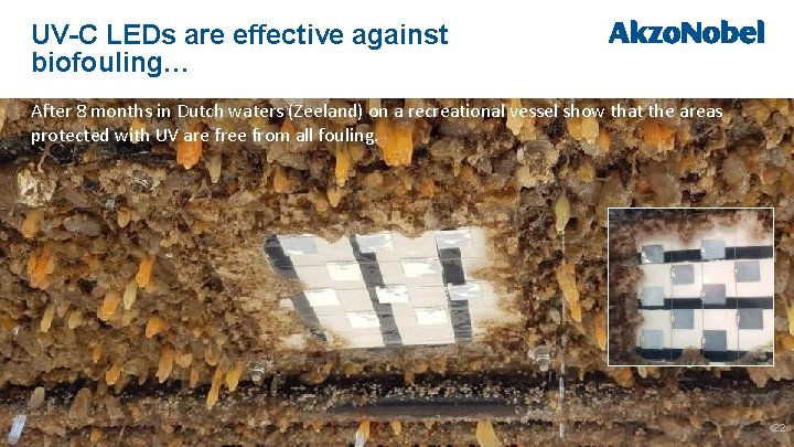 UV-C LEDs are effective against biofouling… After 8 months in Dutch waters (Zeeland) on