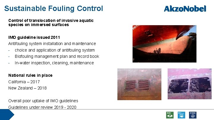 Sustainable Fouling Control of translocation of invasive aquatic species on immersed surfaces IMO guideline