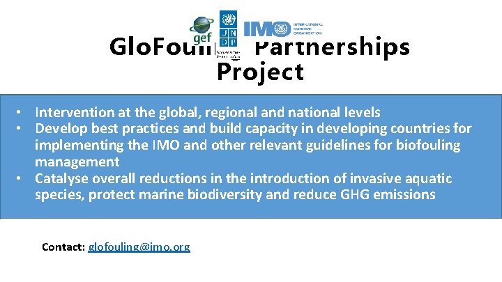 Glo. Fouling Partnerships Project • Intervention at the global, regional and national levels •