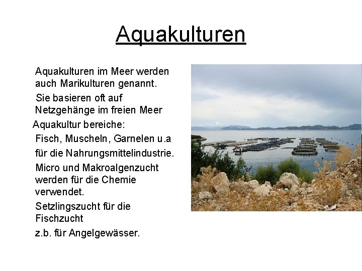 Aquakulturen im Meer werden auch Marikulturen genannt. Sie basieren oft auf Netzgehänge im freien