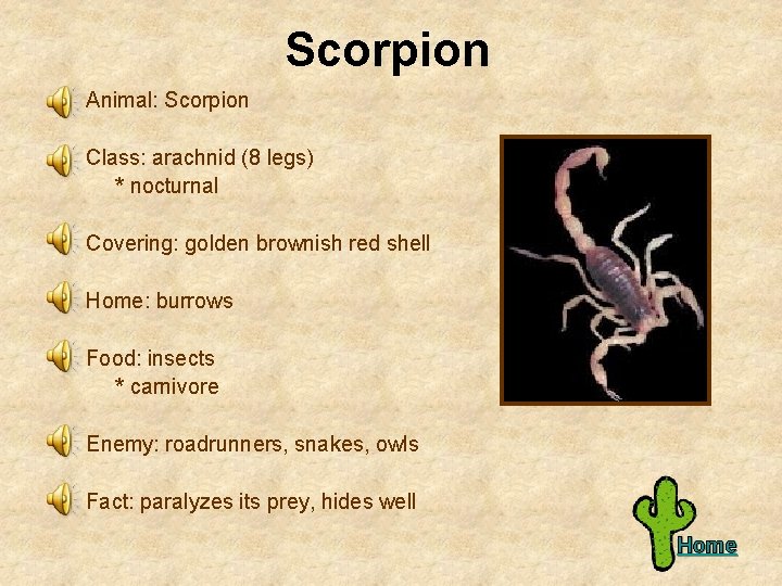 Scorpion Animal: Scorpion Class: arachnid (8 legs) * nocturnal Covering: golden brownish red shell
