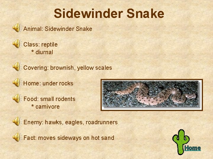 Sidewinder Snake Animal: Sidewinder Snake Class: reptile * diurnal Covering: brownish, yellow scales Home: