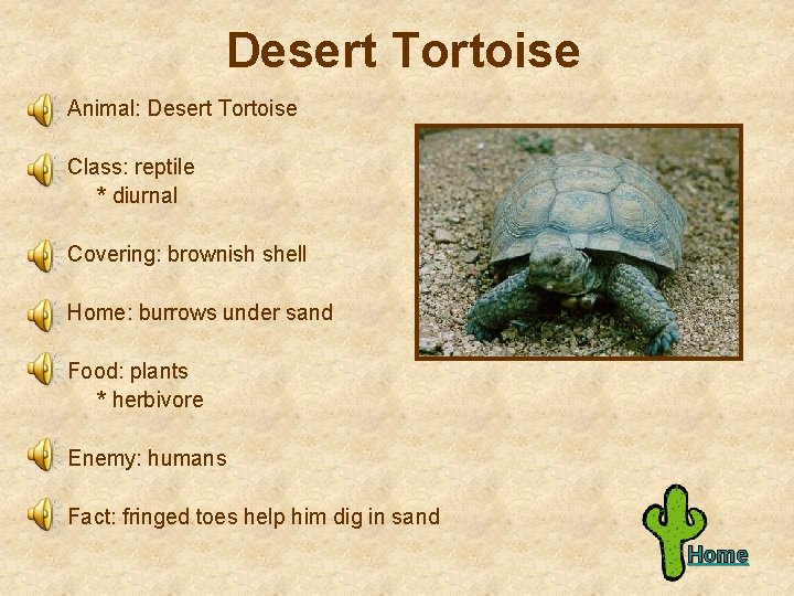 Desert Tortoise Animal: Desert Tortoise Class: reptile * diurnal Covering: brownish shell Home: burrows