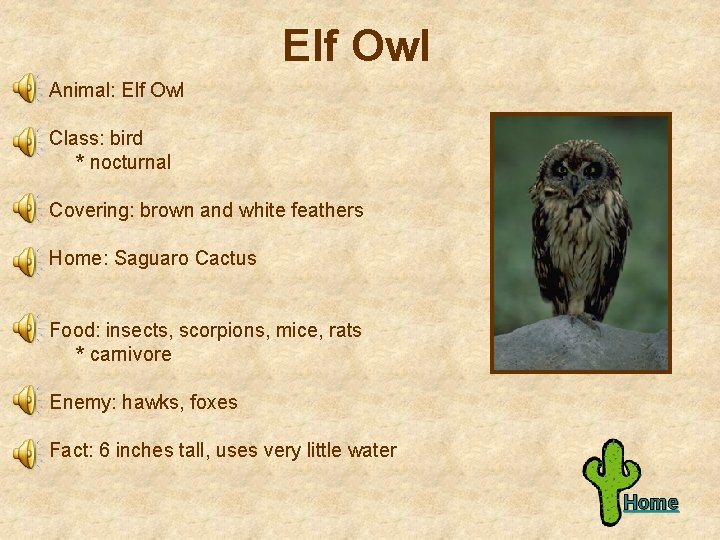 Elf Owl Animal: Elf Owl Class: bird * nocturnal Covering: brown and white feathers