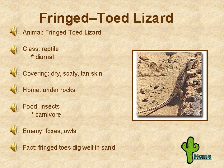 Fringed–Toed Lizard Animal: Fringed-Toed Lizard Class: reptile * diurnal Covering: dry, scaly, tan skin