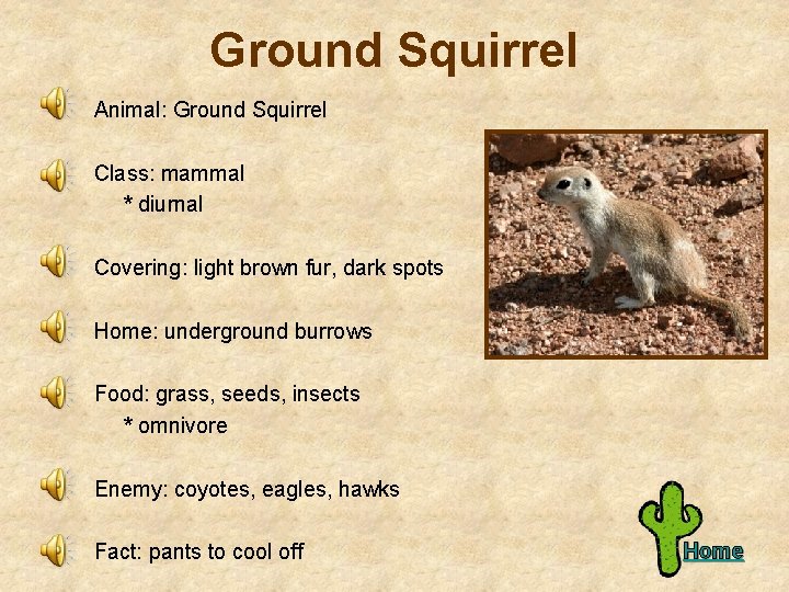 Ground Squirrel Animal: Ground Squirrel Class: mammal * diurnal Covering: light brown fur, dark