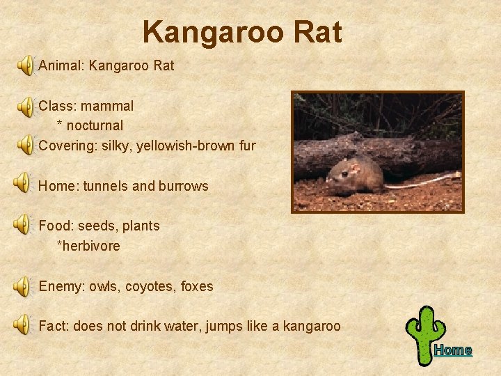 Kangaroo Rat Animal: Kangaroo Rat Class: mammal * nocturnal Covering: silky, yellowish-brown fur Home: