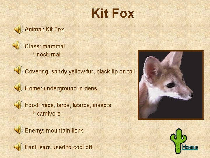 Kit Fox Animal: Kit Fox Class: mammal * nocturnal Covering: sandy yellow fur, black