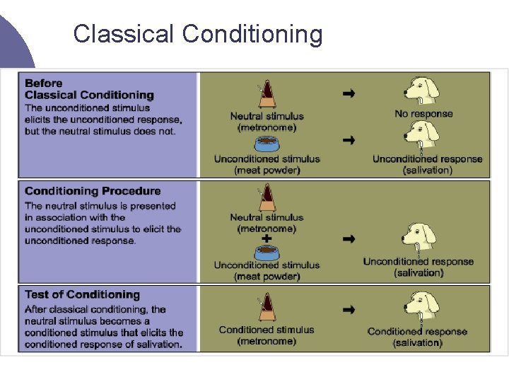 Classical Conditioning 