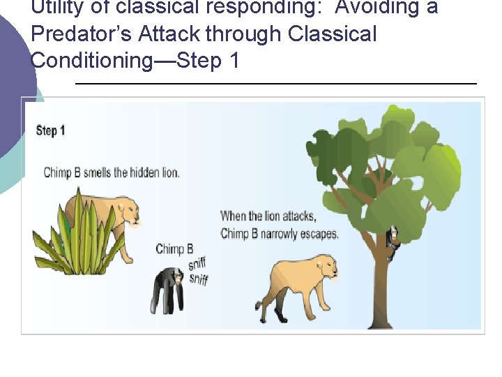 Utility of classical responding: Avoiding a Predator’s Attack through Classical Conditioning—Step 1 