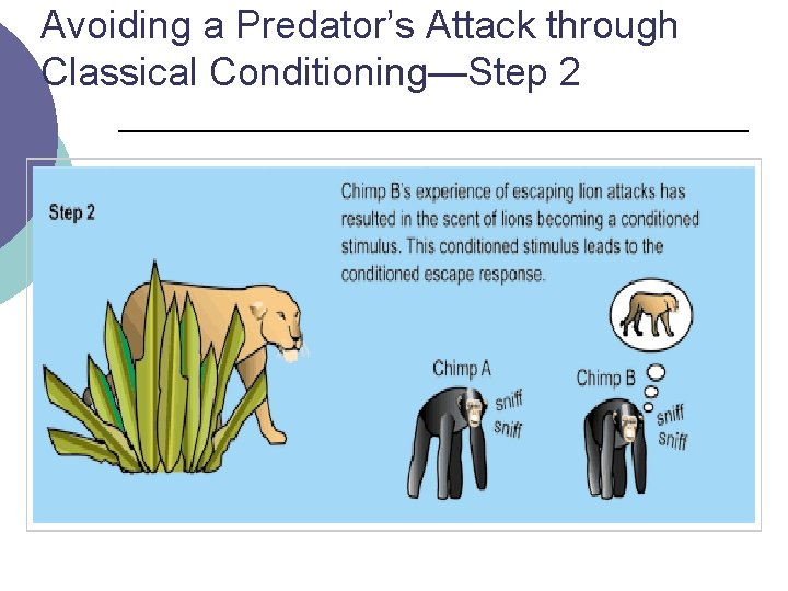 Avoiding a Predator’s Attack through Classical Conditioning—Step 2 