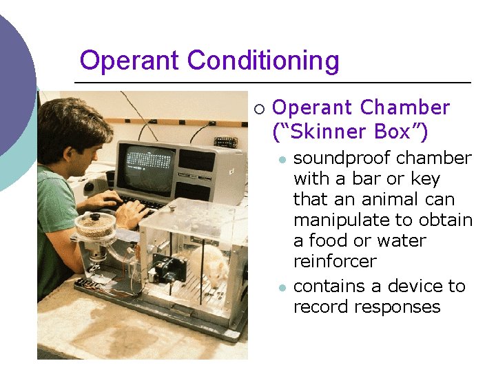 Operant Conditioning ¡ Operant Chamber (“Skinner Box”) l l soundproof chamber with a bar