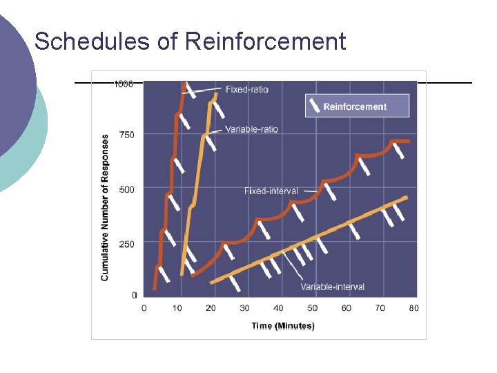 Schedules of Reinforcement 
