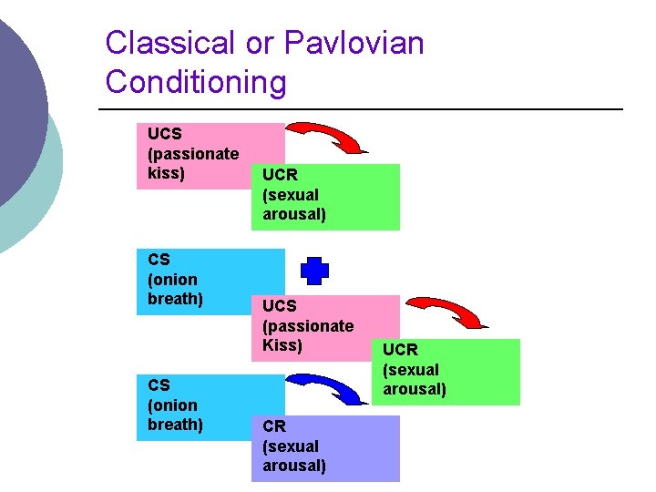 Classical or Pavlovian Conditioning UCS (passionate kiss) CS (onion breath) UCR (sexual arousal) UCS