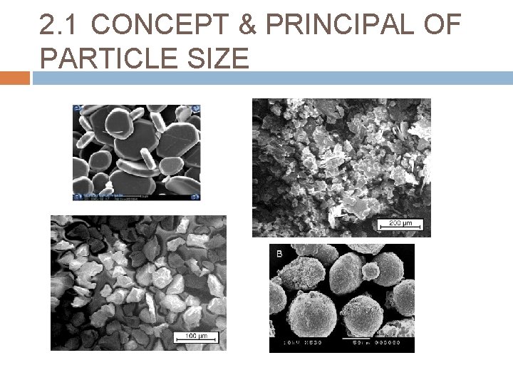 2. 1 CONCEPT & PRINCIPAL OF PARTICLE SIZE 