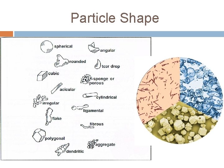 Particle Shape 