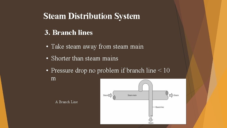 Steam Distribution System 3. Branch lines • Take steam away from steam main • Steam Distribution System 3. Branch lines • Take steam away from steam main •