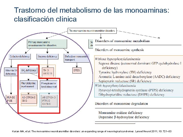 Trastorno del metabolismo de las monoaminas: clasificación clínica Kurian MA, et al. The monoamine