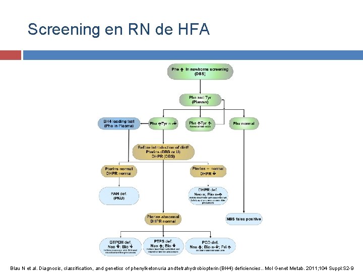 Screening en RN de HFA Blau N et al. Diagnosis, classification, and genetics of