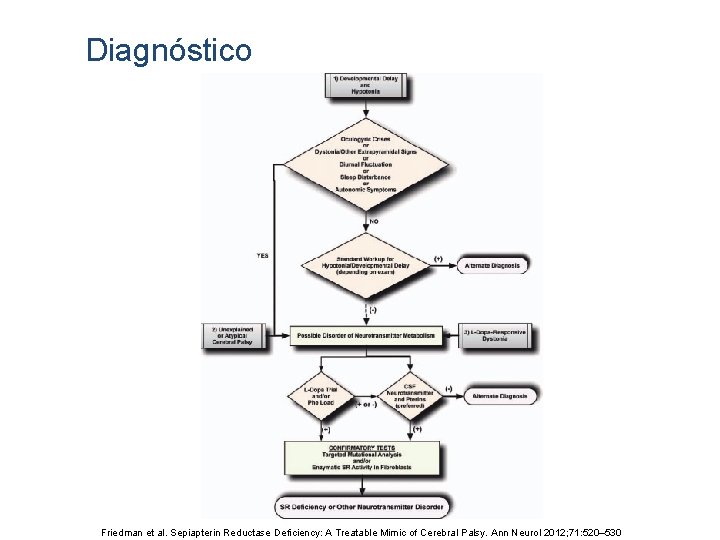 Diagnóstico Friedman et al. Sepiapterin Reductase Deficiency: A Treatable Mimic of Cerebral Palsy. Ann