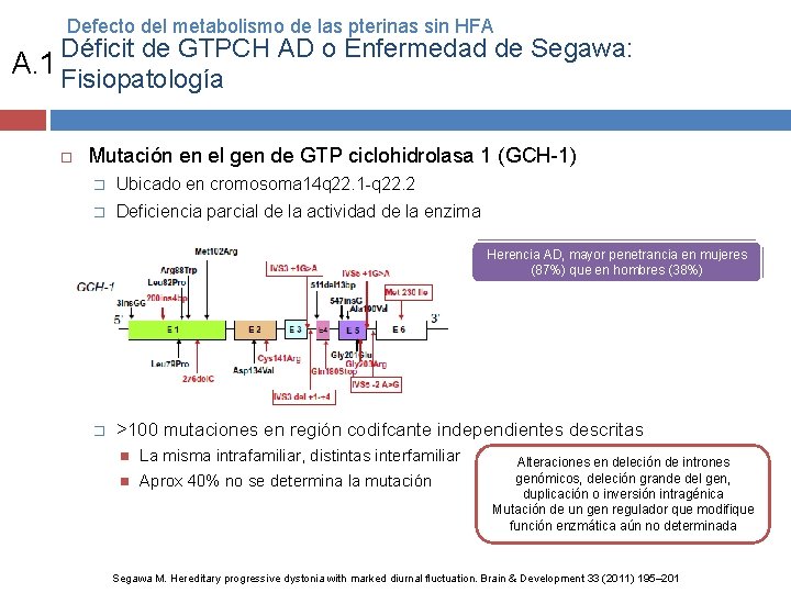 Defecto del metabolismo de las pterinas sin HFA Déficit de GTPCH AD o Enfermedad
