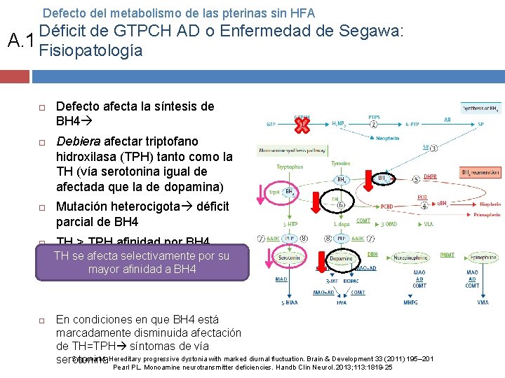 Defecto del metabolismo de las pterinas sin HFA Déficit de GTPCH AD o Enfermedad