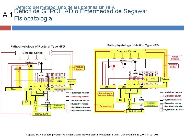 Defecto del metabolismo de las pterinas sin HFA Déficit de GTPCH AD o Enfermedad