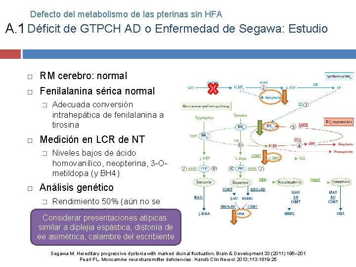 Defecto del metabolismo de las pterinas sin HFA A. 1 Déficit de GTPCH AD