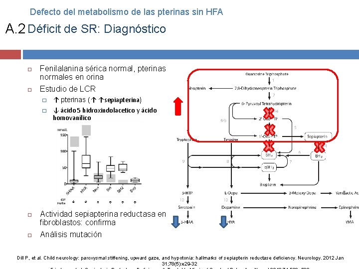 Defecto del metabolismo de las pterinas sin HFA A. 2 Déficit de SR: Diagnóstico