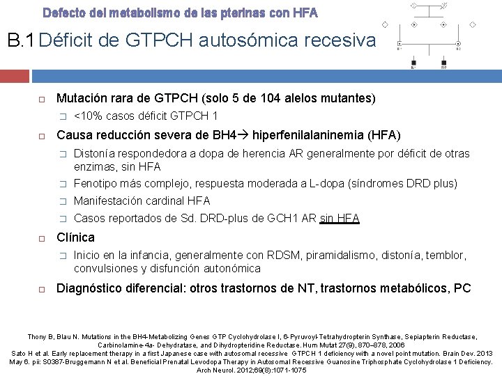 Defecto del metabolismo de las pterinas con HFA B. 1 Déficit de GTPCH autosómica