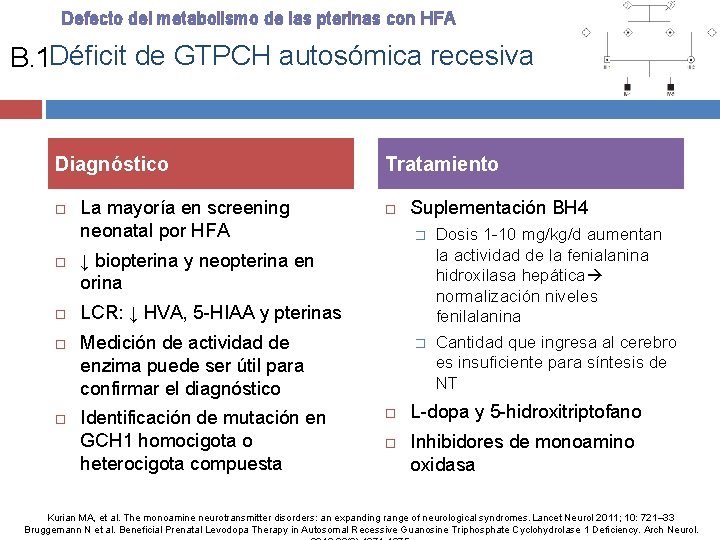 Defecto del metabolismo de las pterinas con HFA B. 1 Déficit de GTPCH autosómica