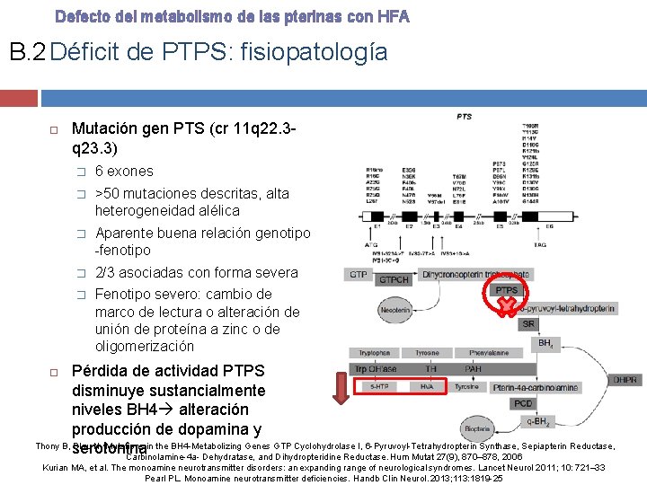 Defecto del metabolismo de las pterinas con HFA B. 2 Déficit de PTPS: fisiopatología