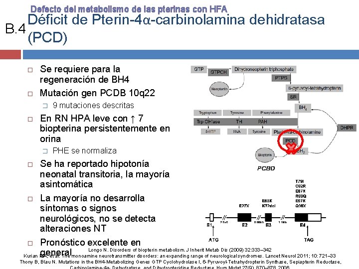 Defecto del metabolismo de las pterinas con HFA Déficit de Pterin-4α-carbinolamina dehidratasa B. 4