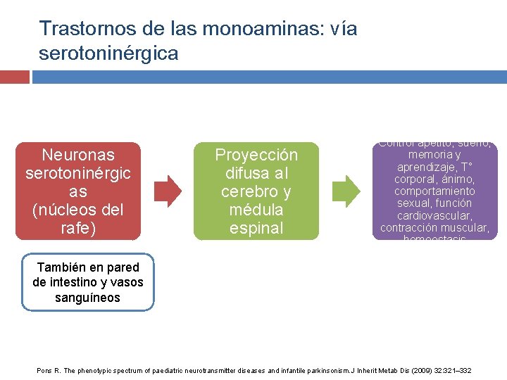 Trastornos de las monoaminas: vía serotoninérgica Neuronas serotoninérgic as (núcleos del rafe) Proyección difusa